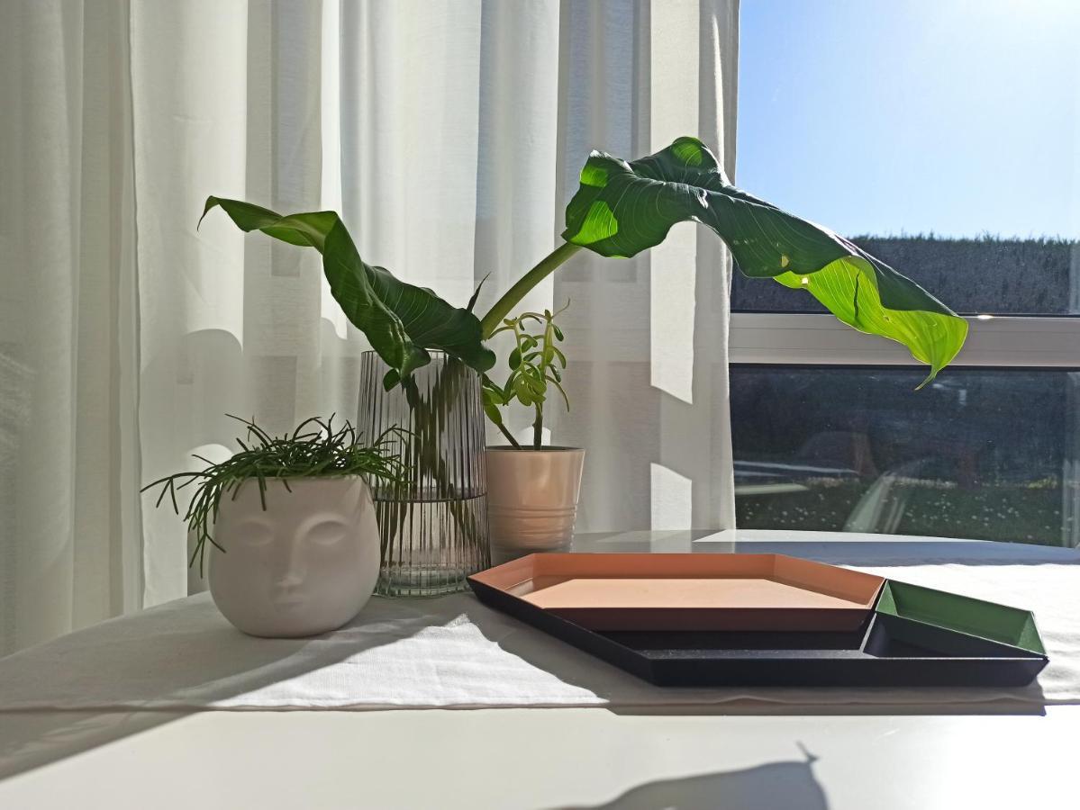 شقة Bajo Con Jardin Privado سانتاندر المظهر الخارجي الصورة