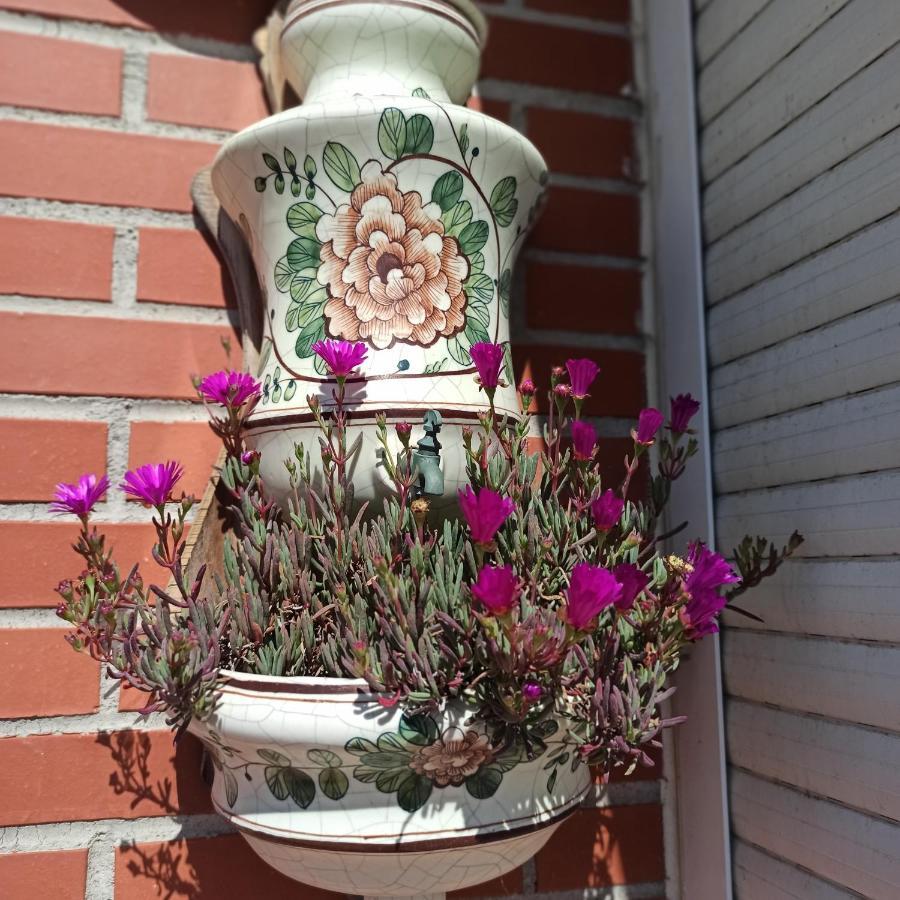 شقة Bajo Con Jardin Privado سانتاندر المظهر الخارجي الصورة